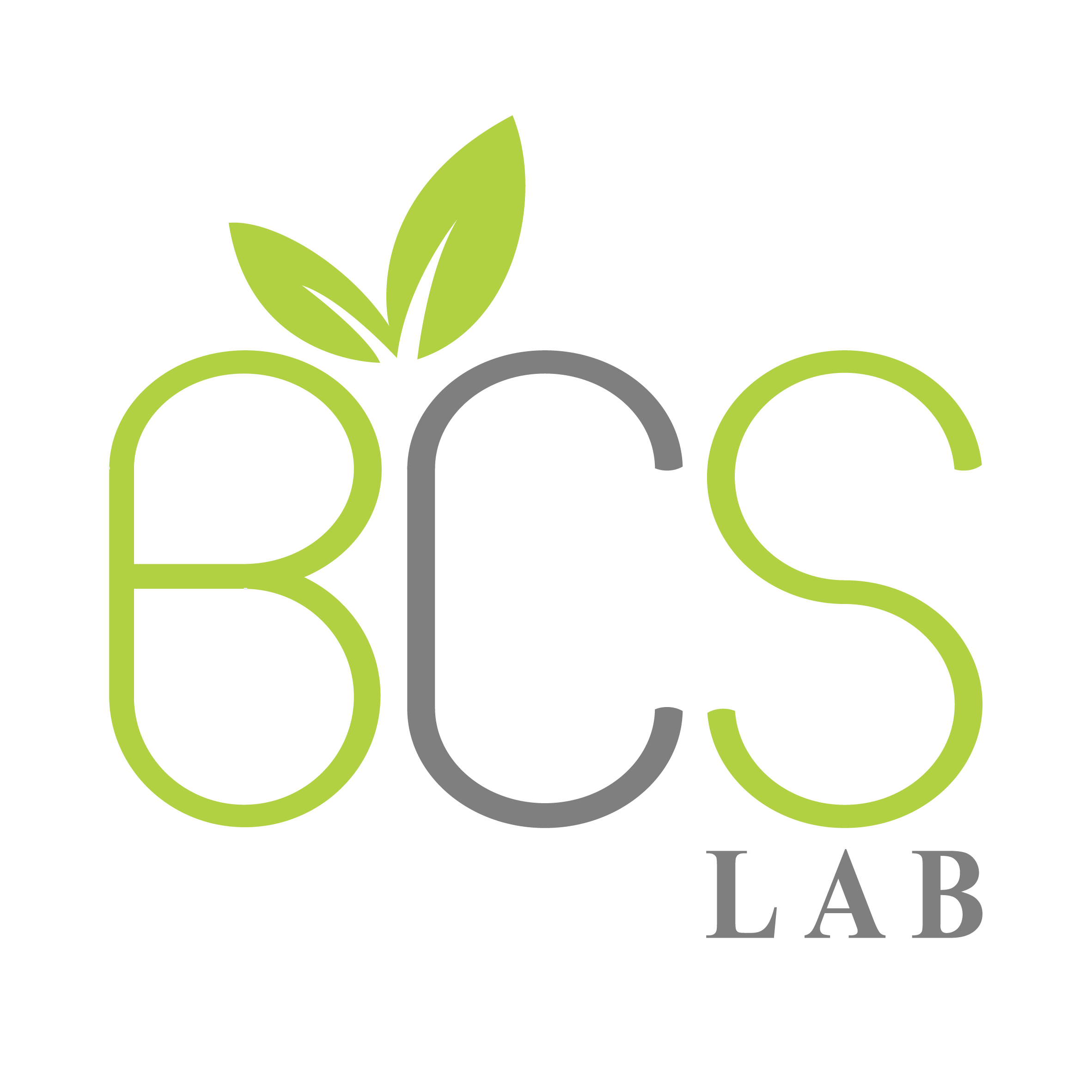 BCS Lab - FELEM.MA